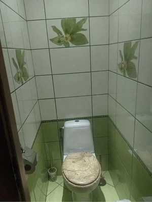Diğer