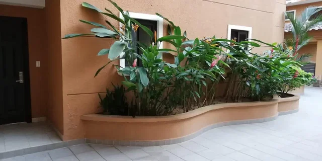 Salón