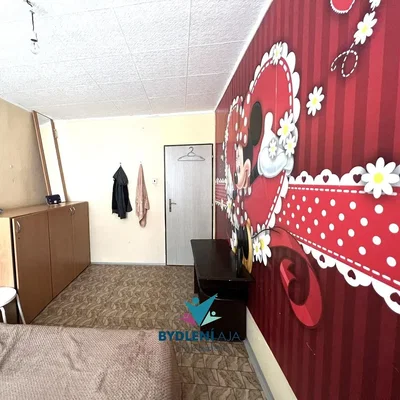 Ostatní