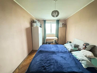 Ostatní