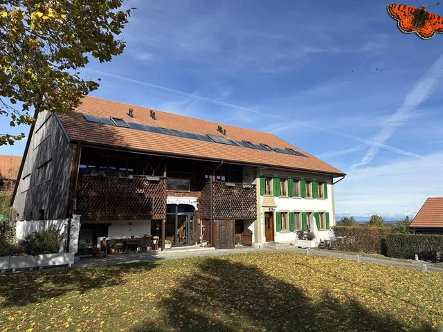 Дневна соба