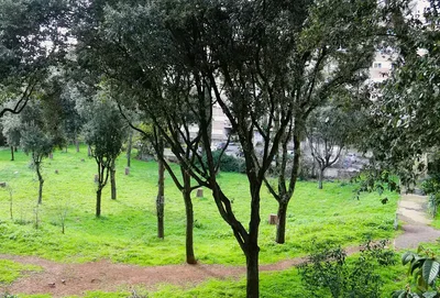 Soggiorno