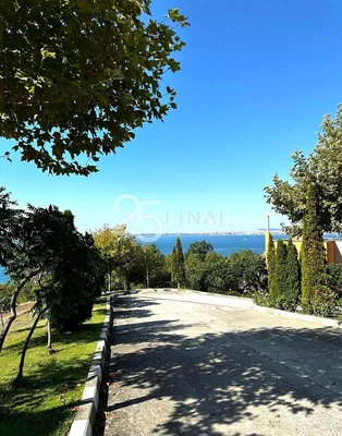 Otro