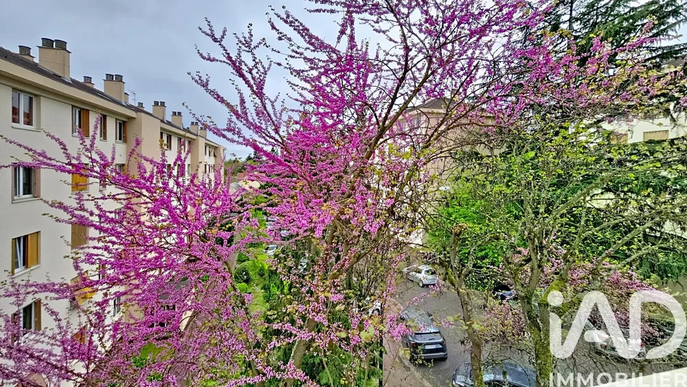 غرفة معيشة