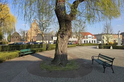 Diğer