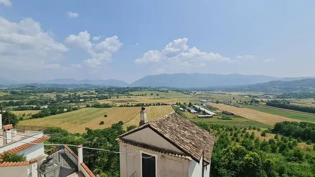 Ostatní