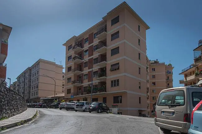 Diğer
