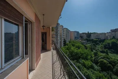 Diğer