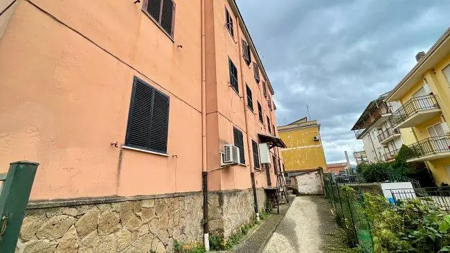 Diğer