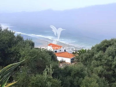 Diğer
