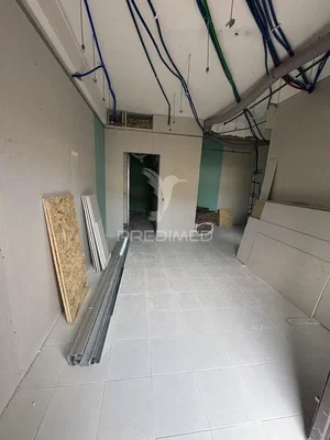 Остало