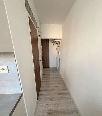 Diğer