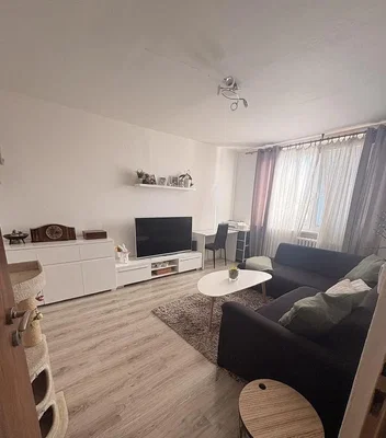 Diğer
