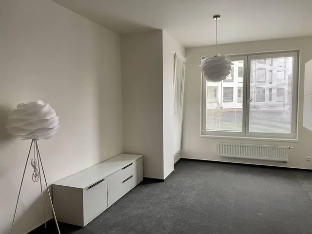 Ostatní