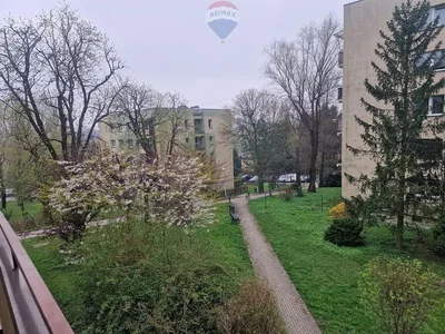 Ostatní