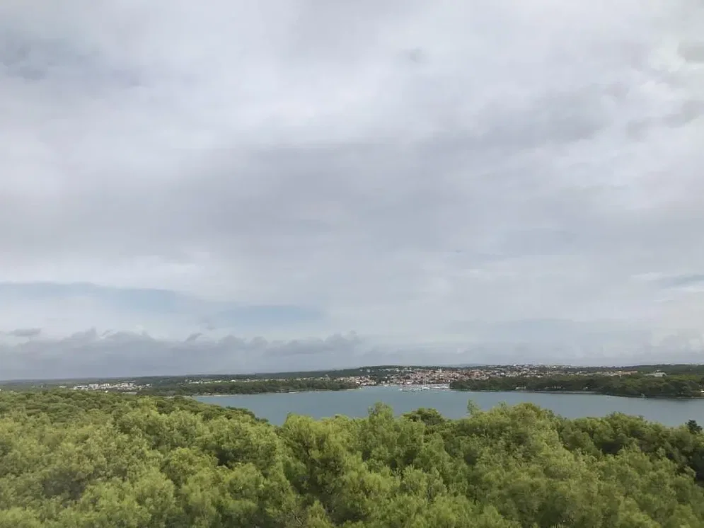 Ostatní