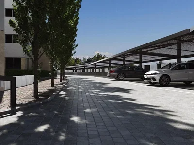 Diğer