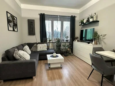 Diğer