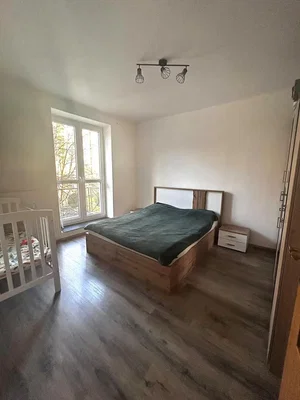 Diğer