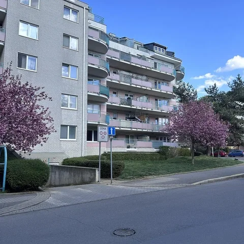 Ostatné