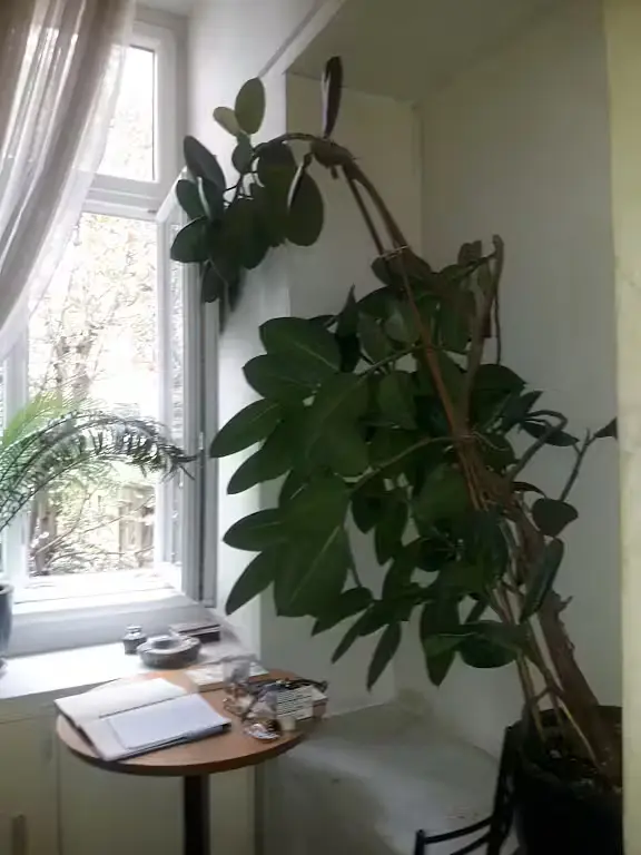 Дневна соба