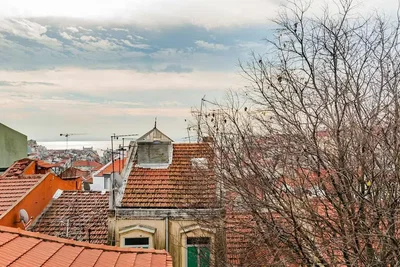 Σαλόνι