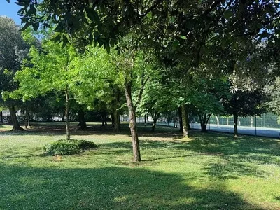 غرفة معيشة
