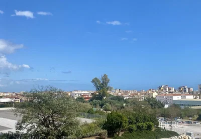Diğer