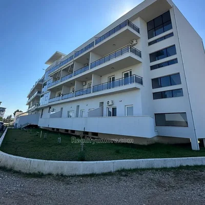 Diğer