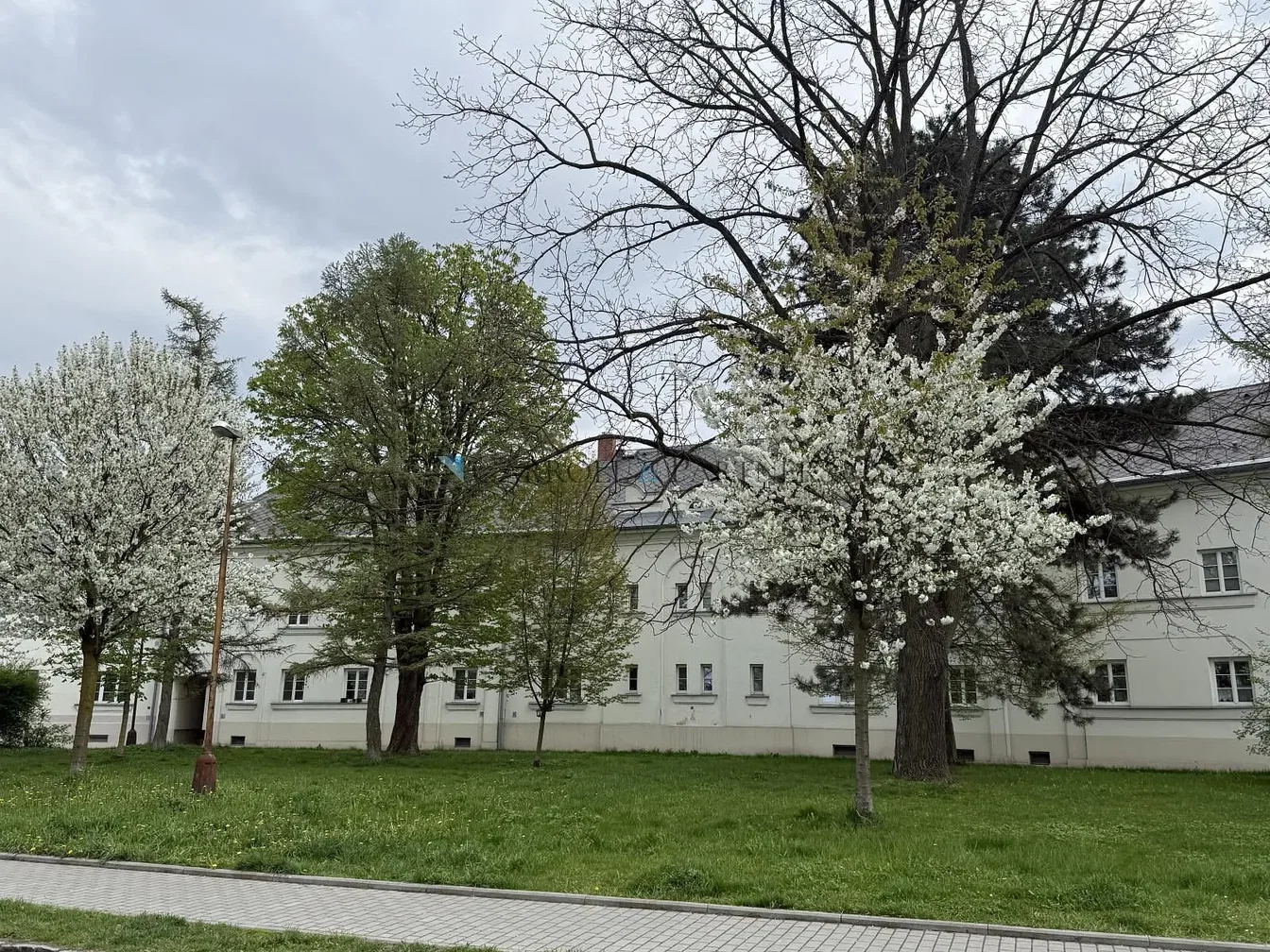 Ostatní