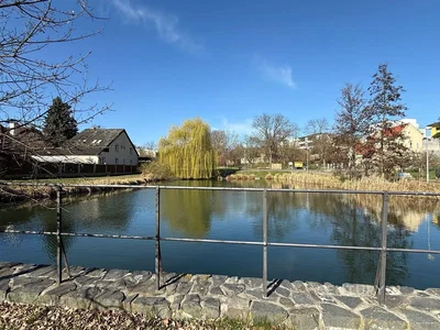 Ostatní