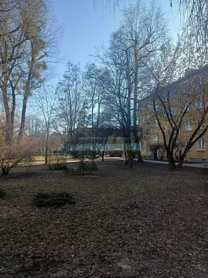 Diğer
