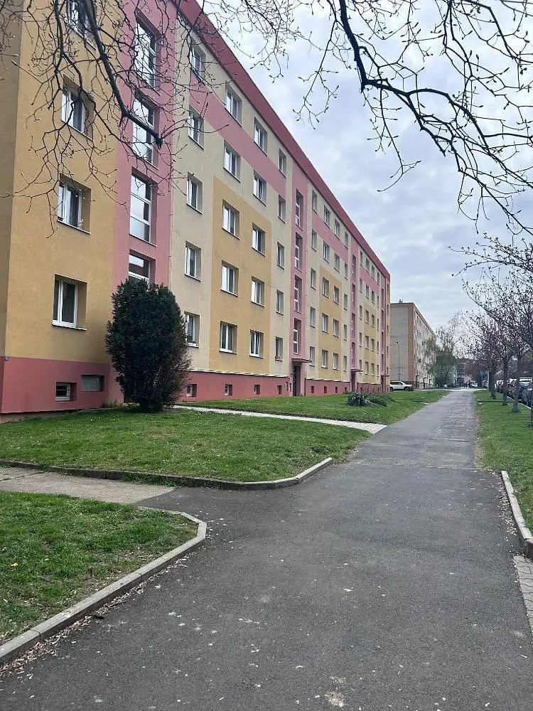 Diğer