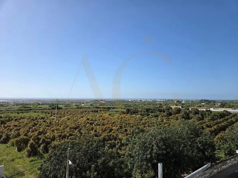 غرفة معيشة