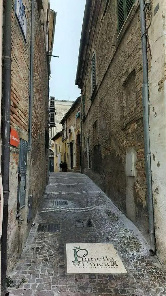 Diğer