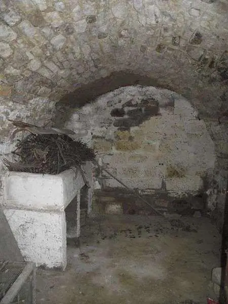 Ostatné