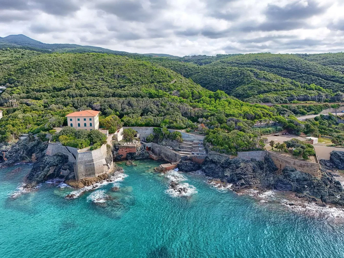 Diğer