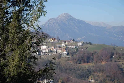 Ostatní