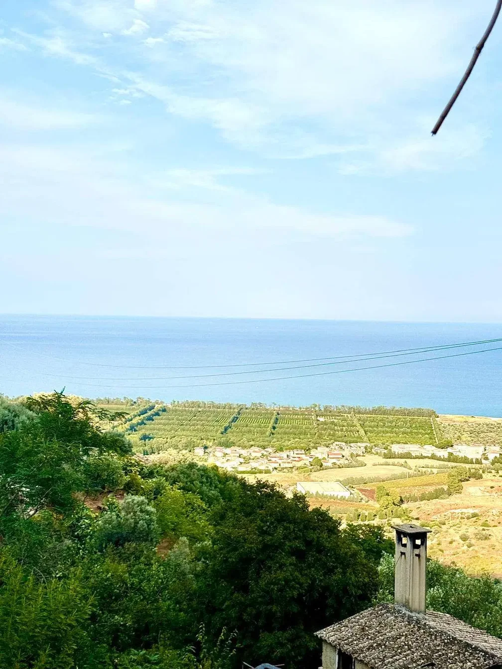 Diğer