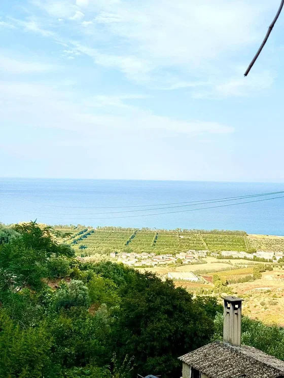 Diğer