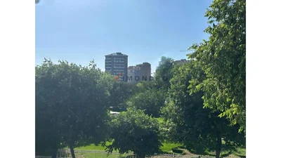 Ostatní