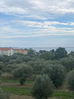 Остало