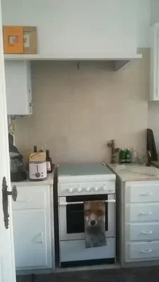 Σαλόνι