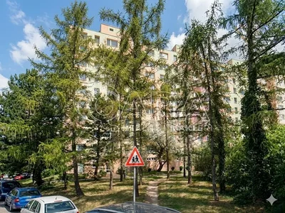 Ostatní