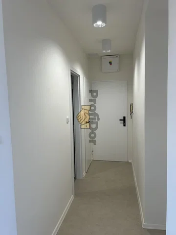 Άλλο