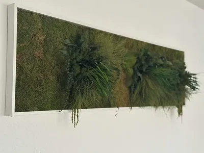 Хол