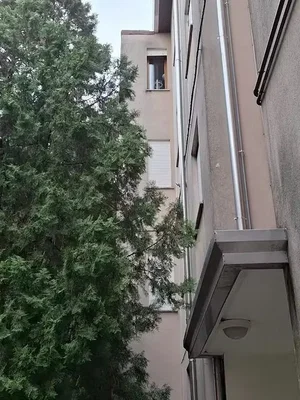 Хол