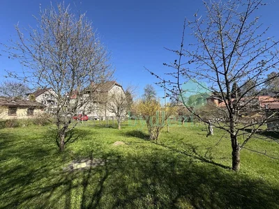 Diğer