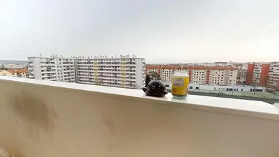 Oturma odası