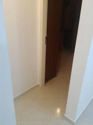 Diğer
